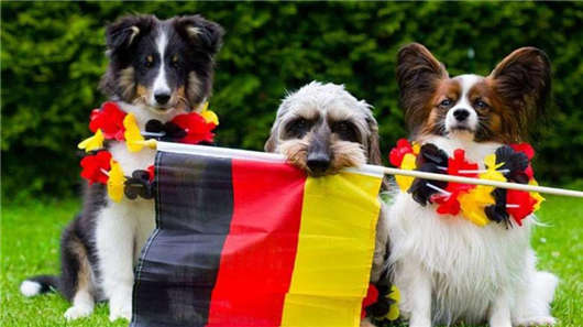 投資移民德國開銷大不大？移民德國申請要求怎么樣？