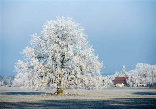 德國簽證留學攻略：十大醫學學院（上）
