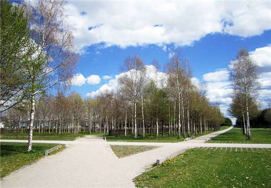 德國市場高技術人才緊缺，政策隨之發(fā)生變化