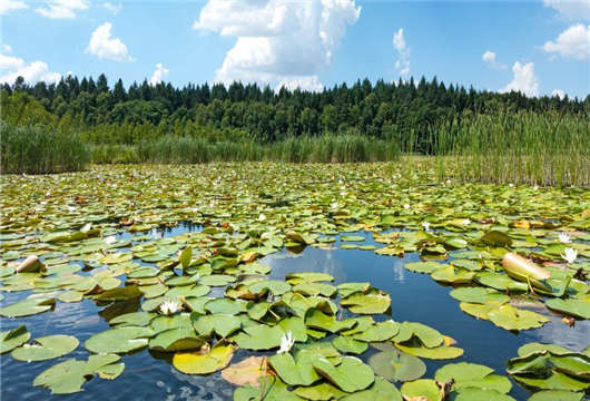歐洲難民為何會如此青睞德國哪？原因在這（上）