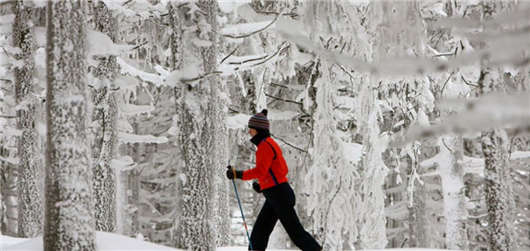 冬季低山脈運動