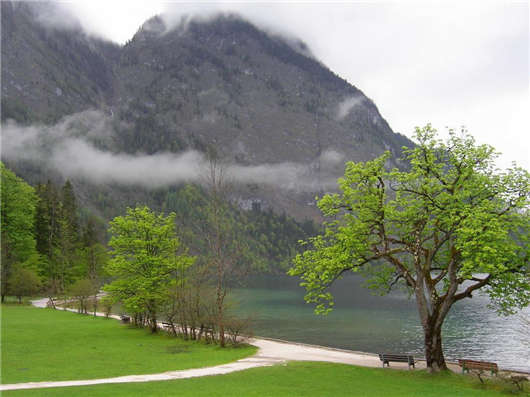 德國環境部40年創新理念，帶來更多環境保護