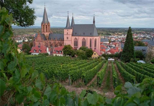 德國女性產假和工作保護