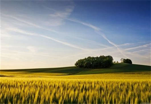 柏林的房屋建筑數量正在上升，房產投資刻不容緩