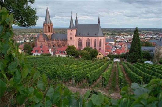 入籍優(yōu)劣對比，您一定要了解一下！