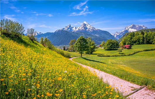 德國教育解讀，備受歡迎的德國學(xué)校