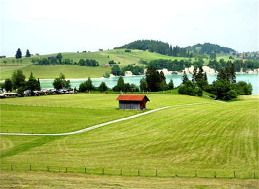 德國移民方式之德國結(jié)婚移民介紹