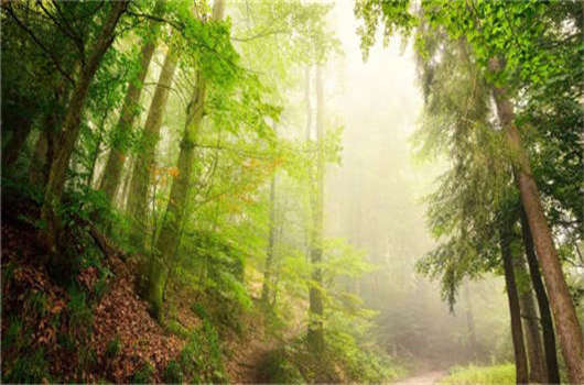 德國(guó)移民入籍條件介紹，該如何申請(qǐng)德國(guó)永居那？